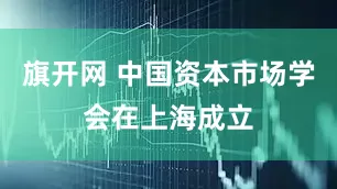 旗开网 中国资本市场学会在上海成立