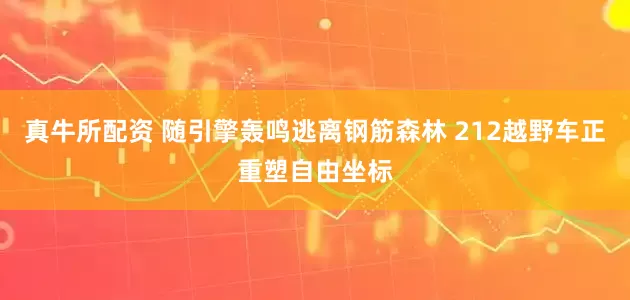 真牛所配资 随引擎轰鸣逃离钢筋森林 212越野车正重塑自由坐标