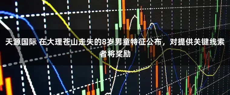 天源国际 在大理苍山走失的8岁男童特征公布，对提供关键线索者将奖励