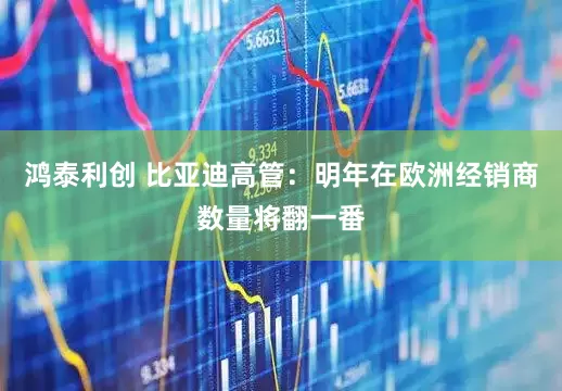 鸿泰利创 比亚迪高管：明年在欧洲经销商数量将翻一番